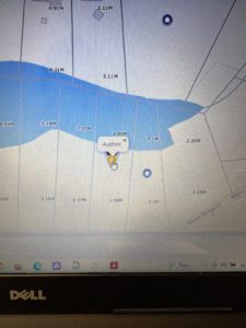 screenshot of a map with property lots and a "auction" symbol on it