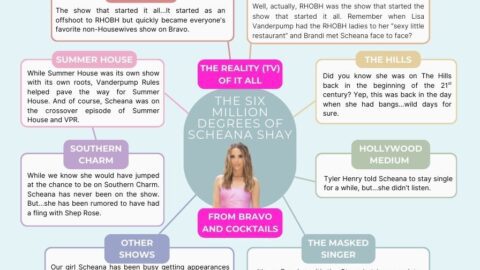 graphic depicting the many shows that Scheana Shay has been on