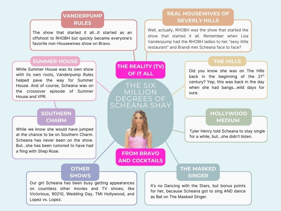 graphic depicting the many shows that Scheana Shay has been on